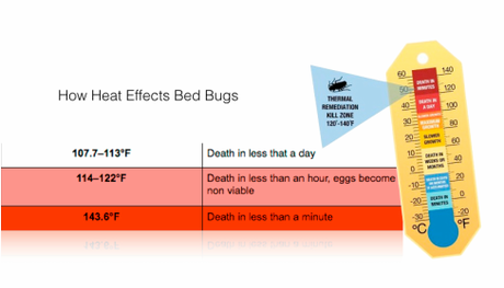 bed bug exterminator Dayton Ohio 